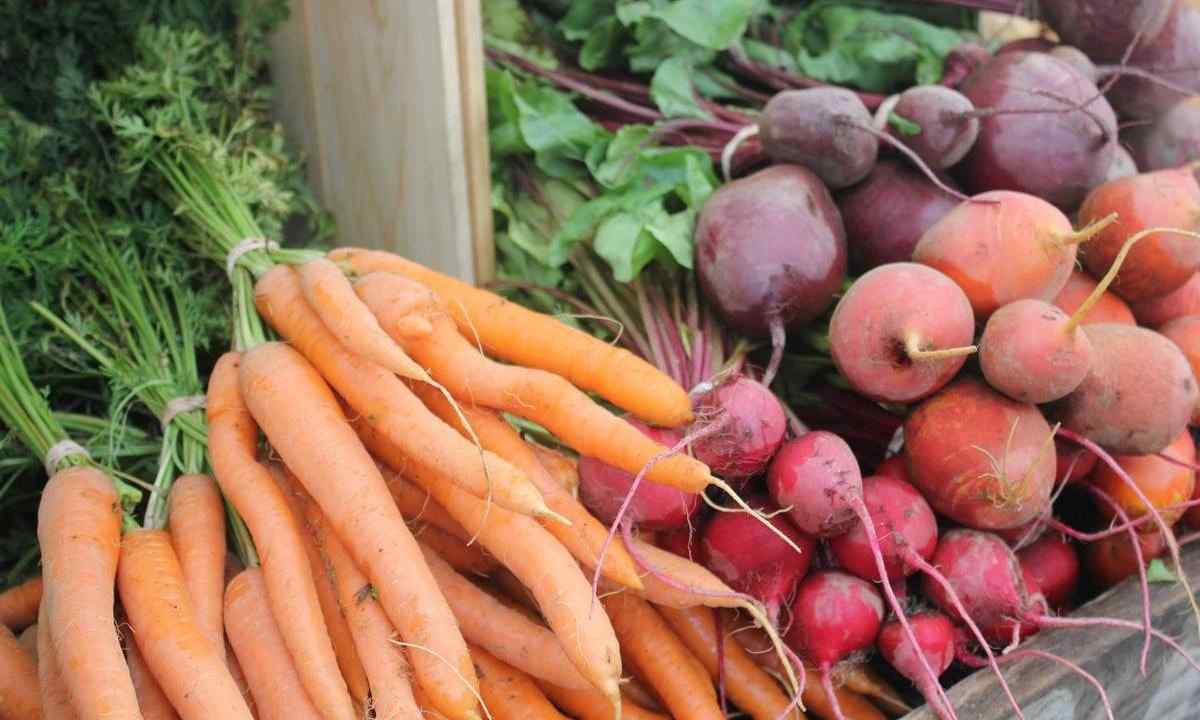 When to harvest some carrots for winter storage