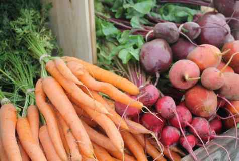 When to harvest some carrots for winter storage