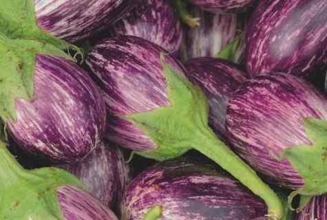On what depth to plant seeds of eggplants on seedling
