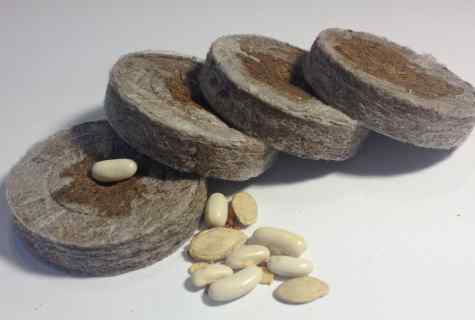 How to use peat tablets
