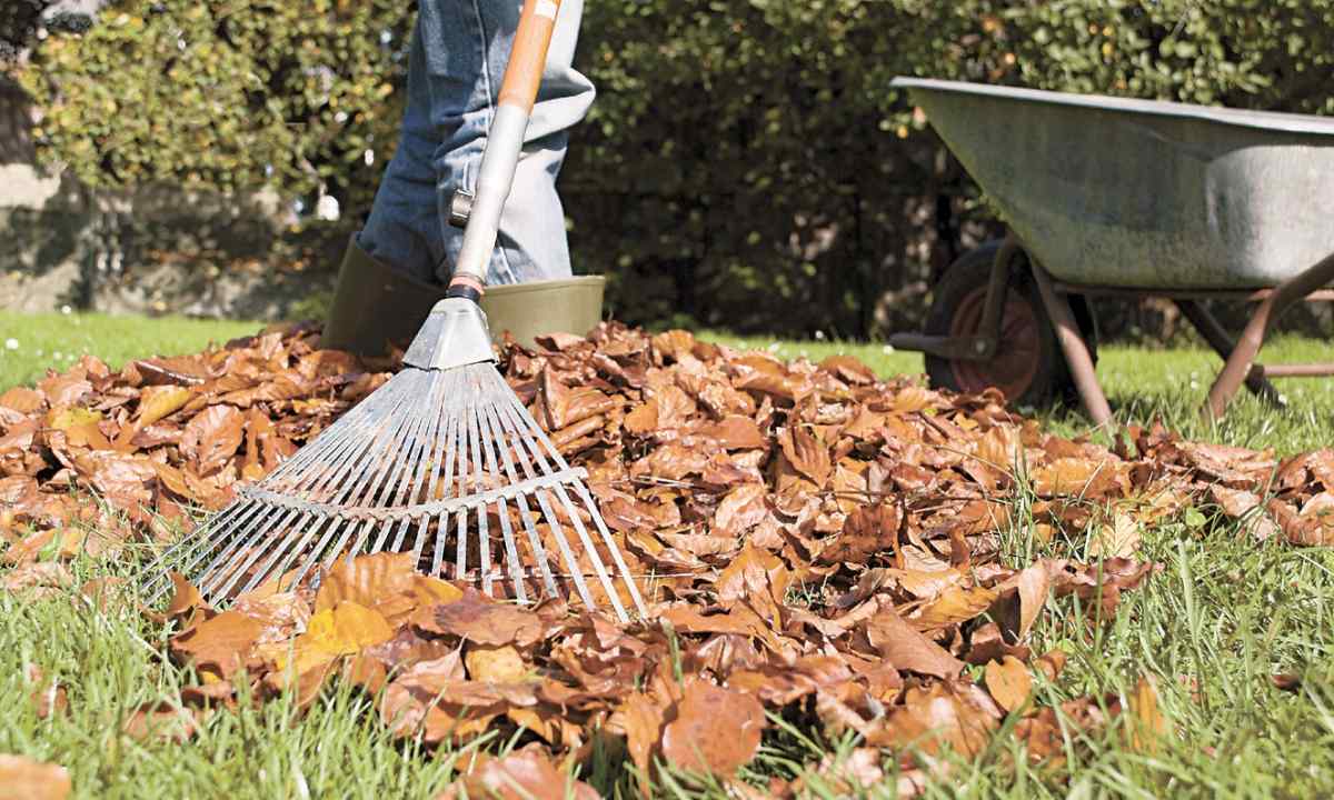 How to prepare garden trees for winter
