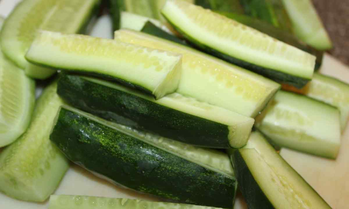 How to understand, than to feed up cucumbers