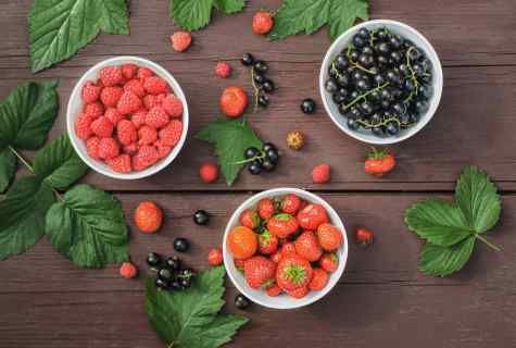 When to collect leaves of raspberry and currant for tea