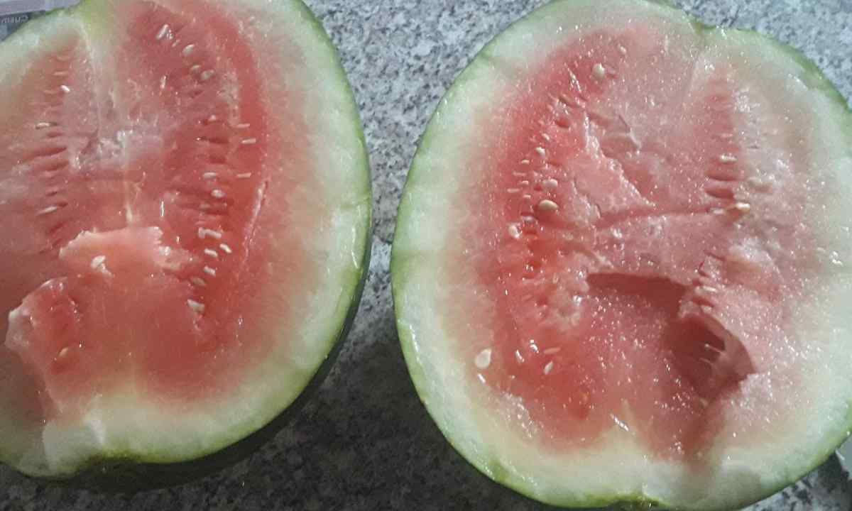 Watermelons without stones: description of the best grades