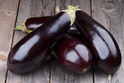 How to sow eggplants