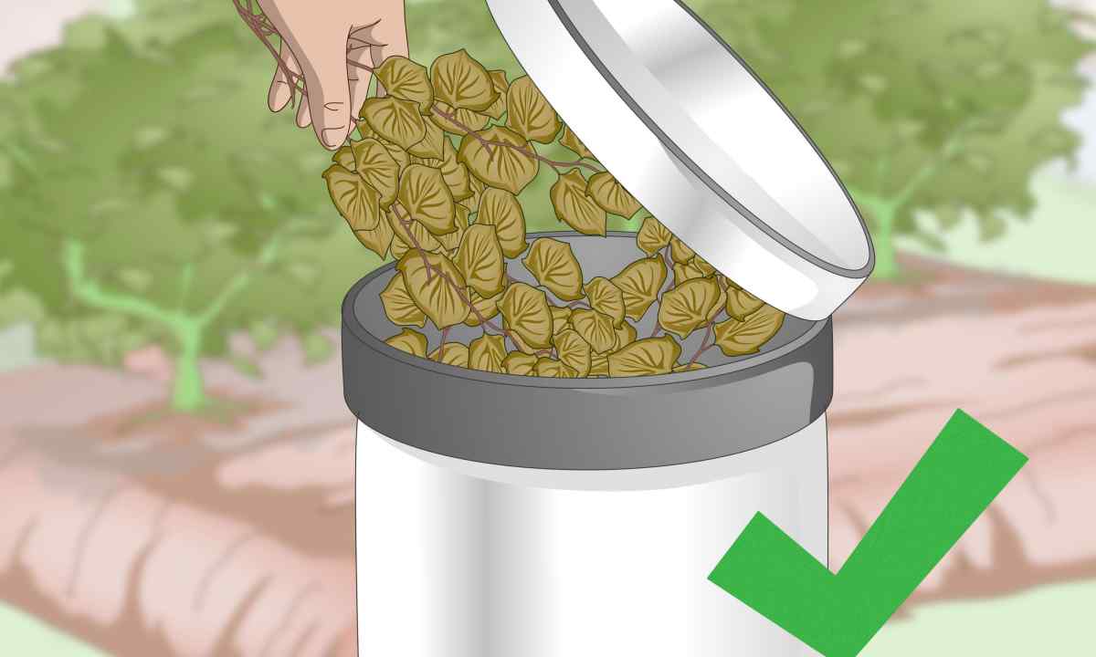 How to get rid of the small cream growing from tree root