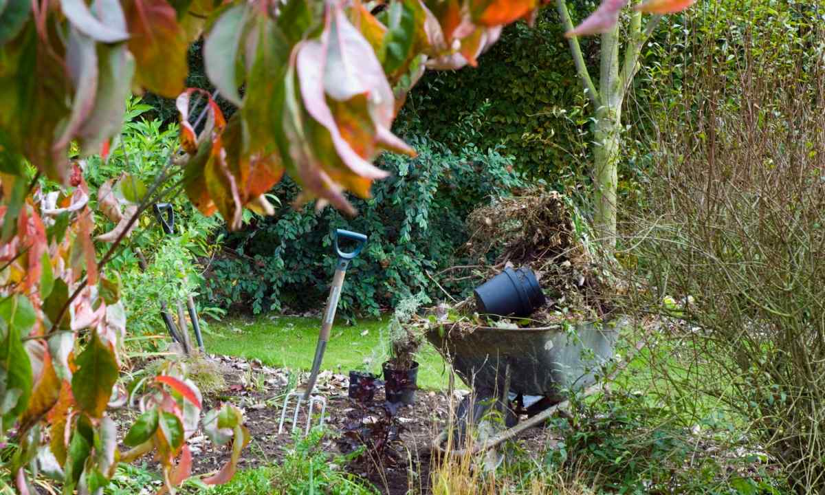 How to make garden in the fall ready for the winter