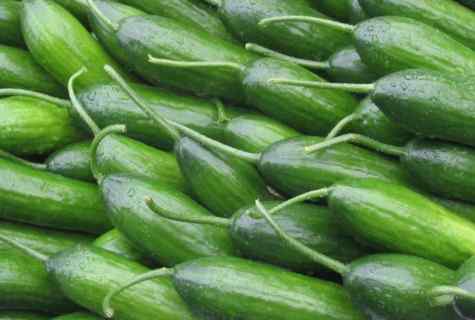 When and how to ret seeds of cucumbers