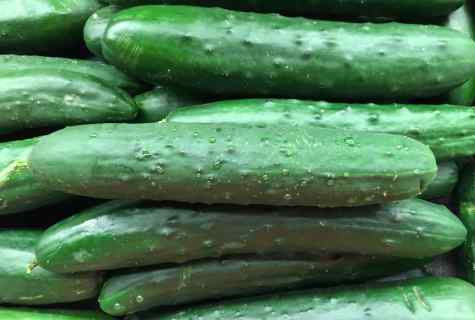 What cucumbers the most fruitful