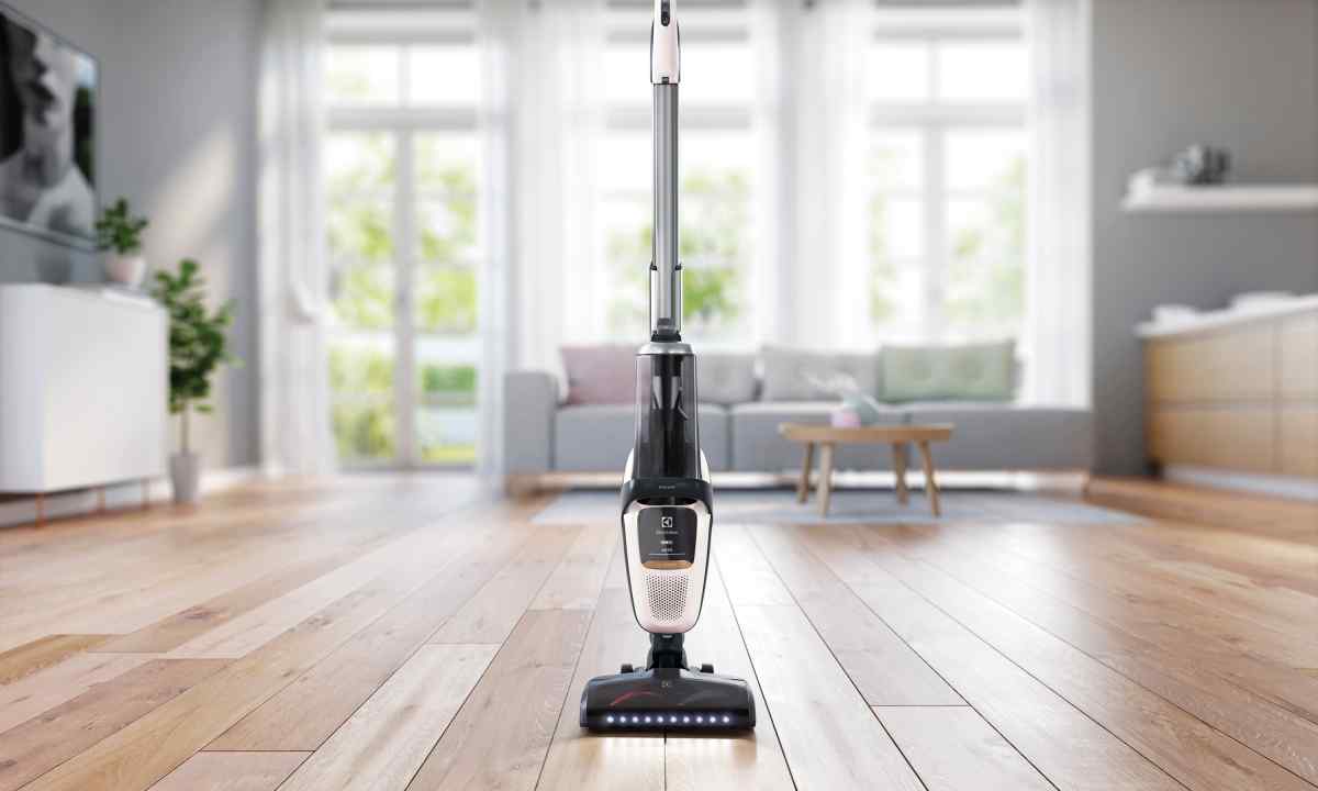 Choice of the garden vacuum cleaner
