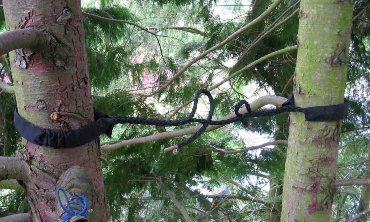 How to remove tree stub