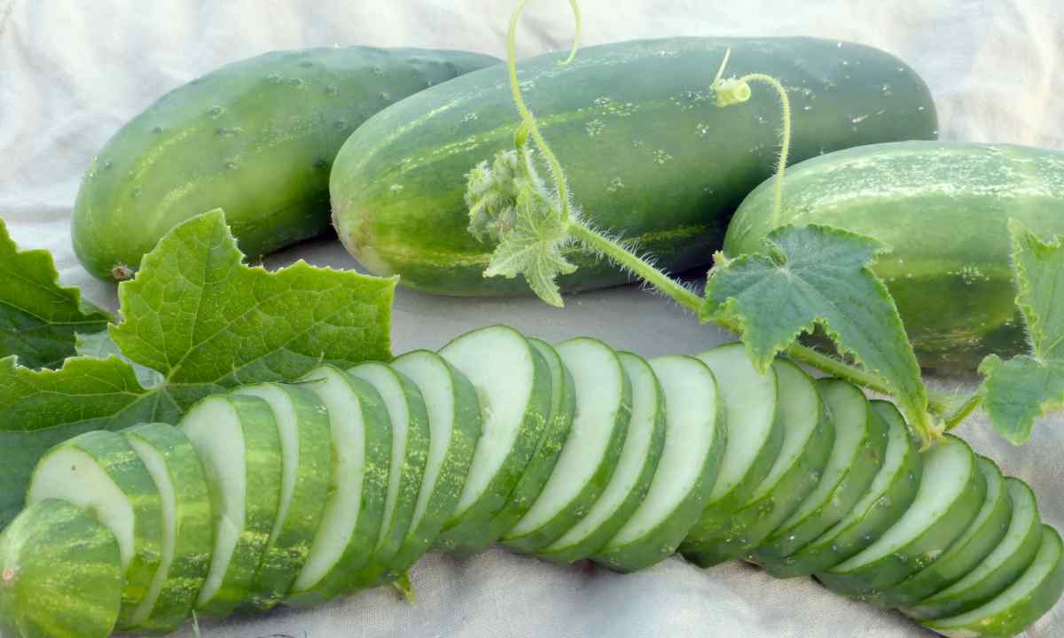 What grades of cucumbers the most fruitful