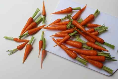 How to grow up large and sweet carrots