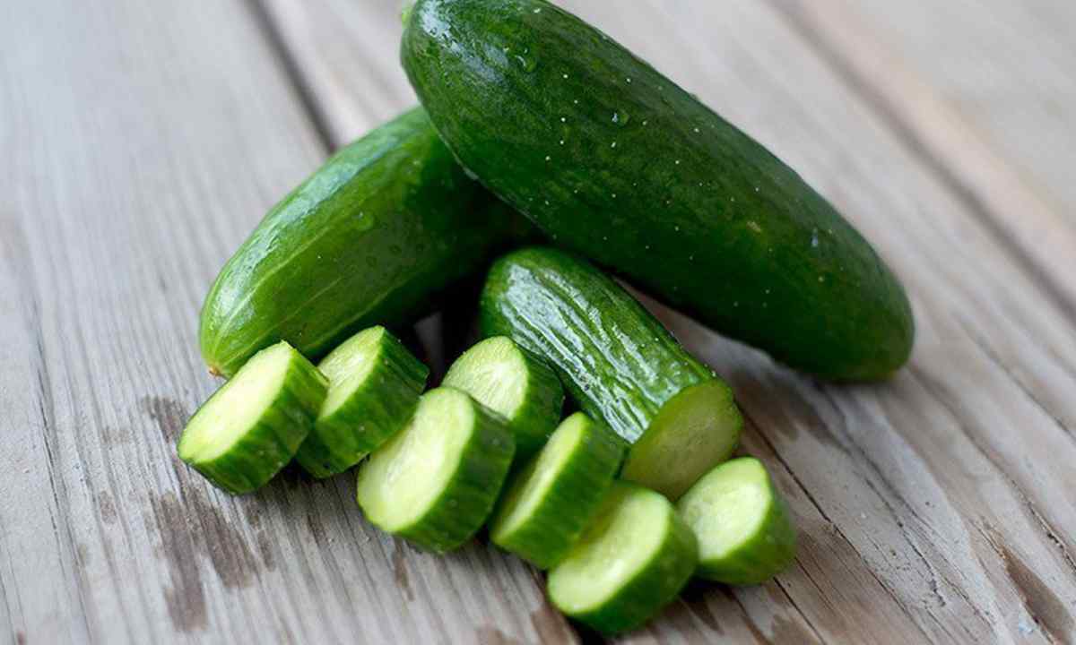What seeds of cucumbers it is better to plant in midland