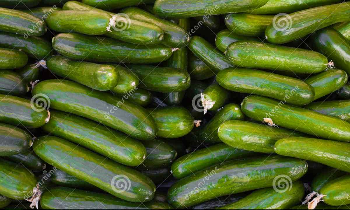 What grade of cucumbers is the best of all