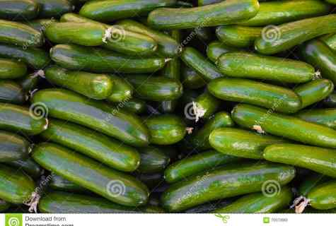 What grade of cucumbers is the best of all