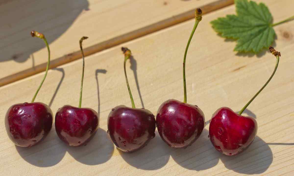 How to replace sweet cherry