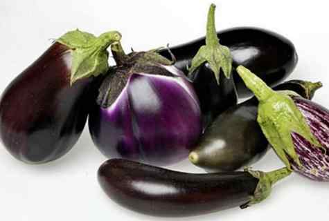 How to sow seeds of eggplants in soil