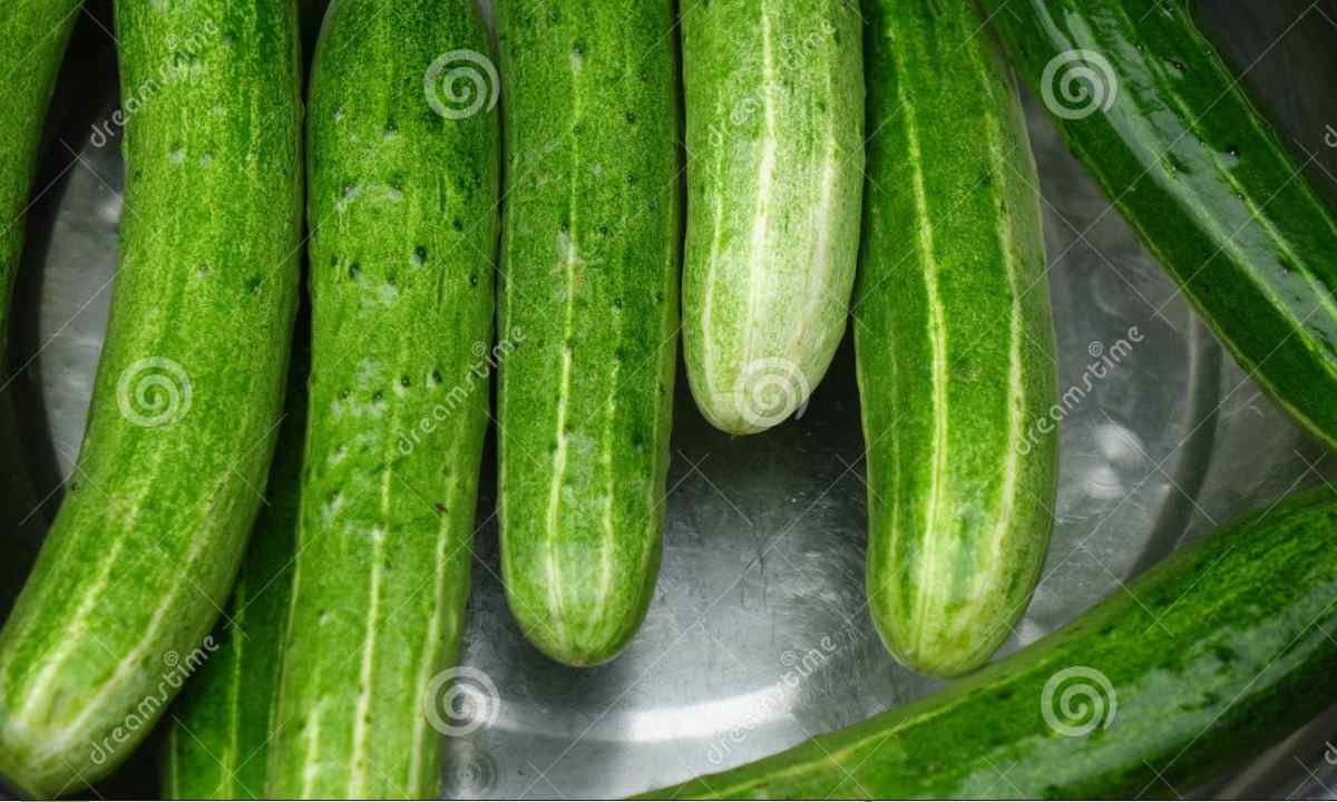 What grades of cucumbers yield big crop