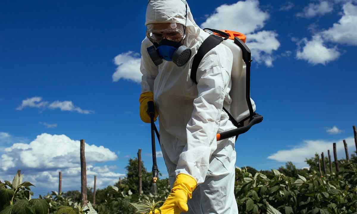 What is insecticides