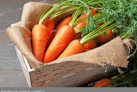 Carrots storage techniques