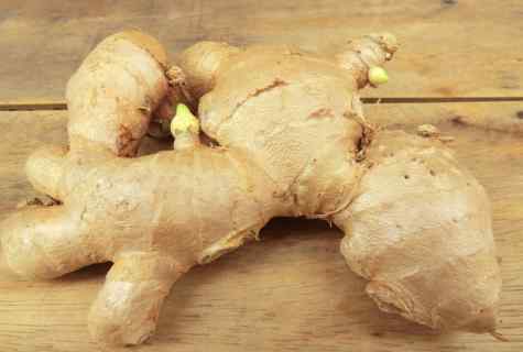 How to grow up ginger root in house conditions?
