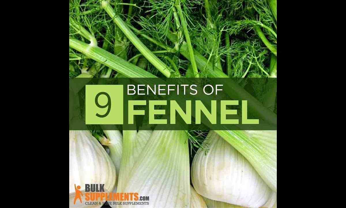 How to grow up fennel