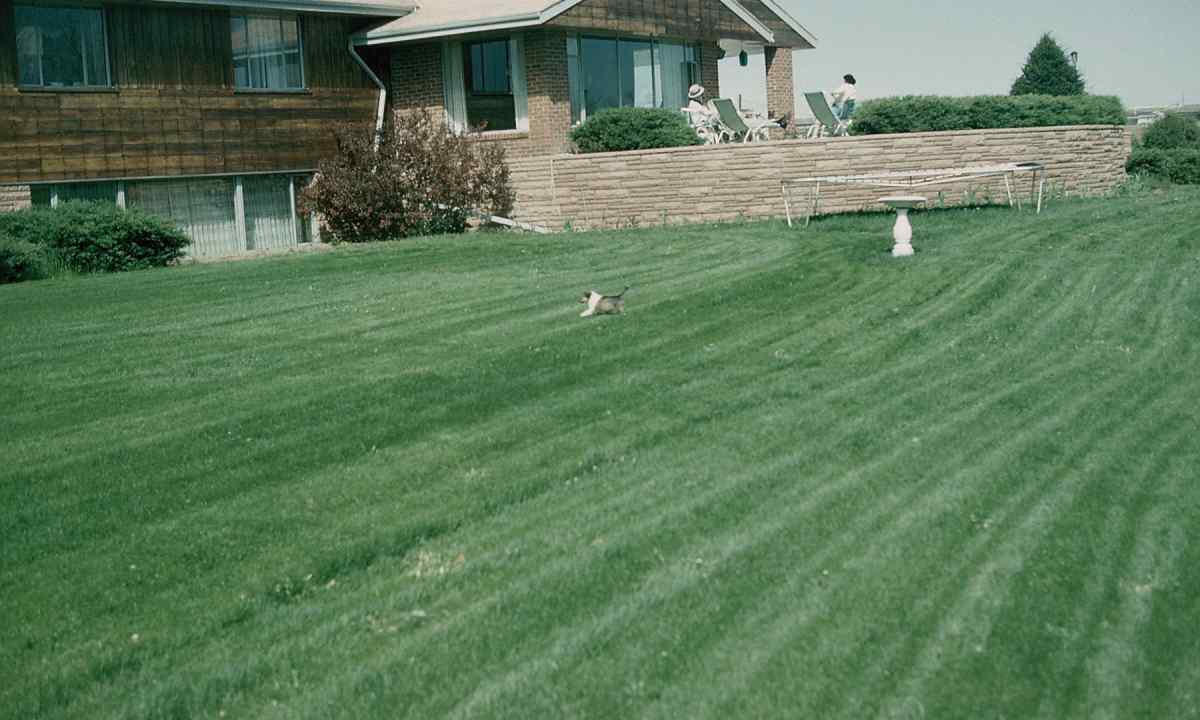 How to lay out ready rolled lawn