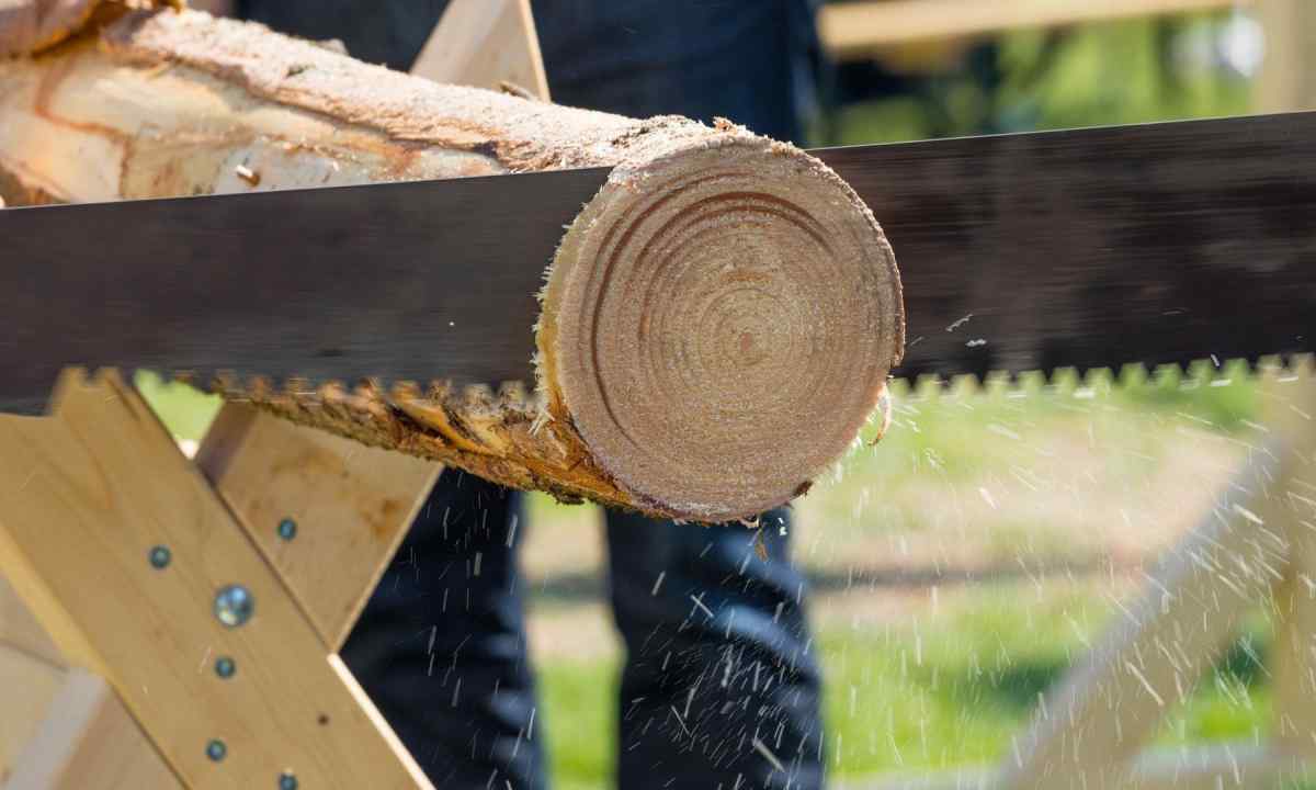 How to process tree saw cut