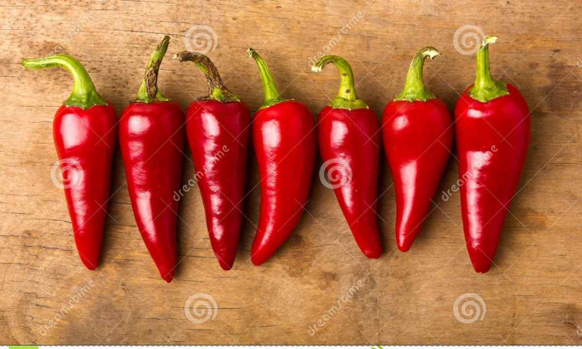 How to grow up hot pepper