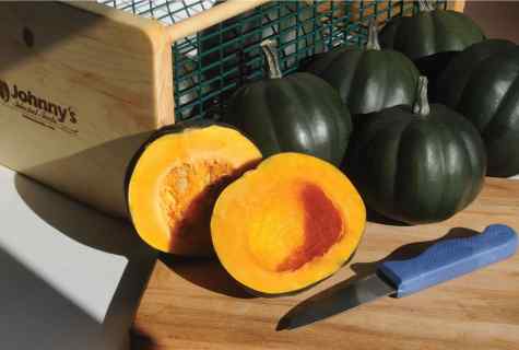 How to collect seeds from squash