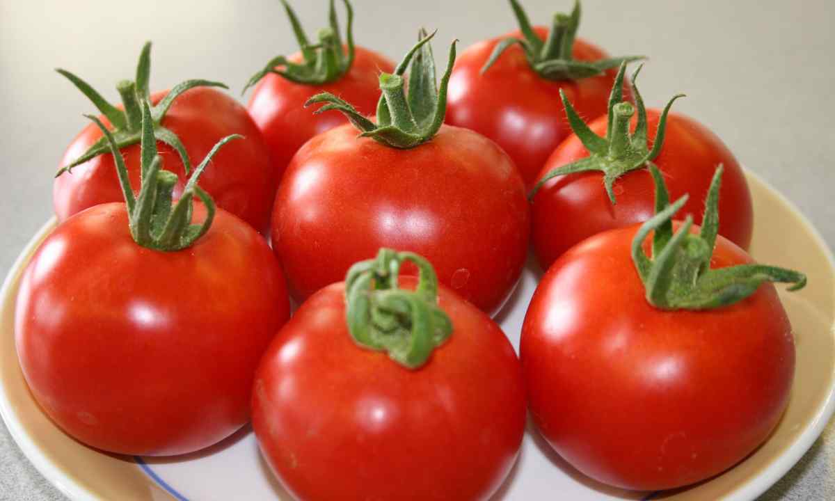 How to couch seeds of tomatoes: useful tips