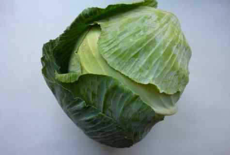 How quickly to cure the earth from cabbage kil