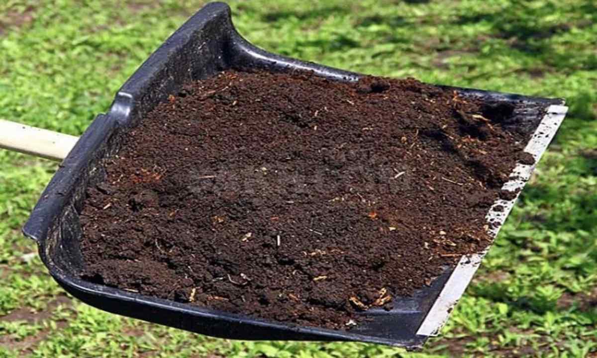 What compost differs from humus in
