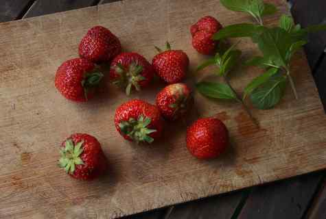How to look after strawberry