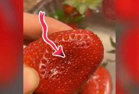 How to fight with worms on strawberry
