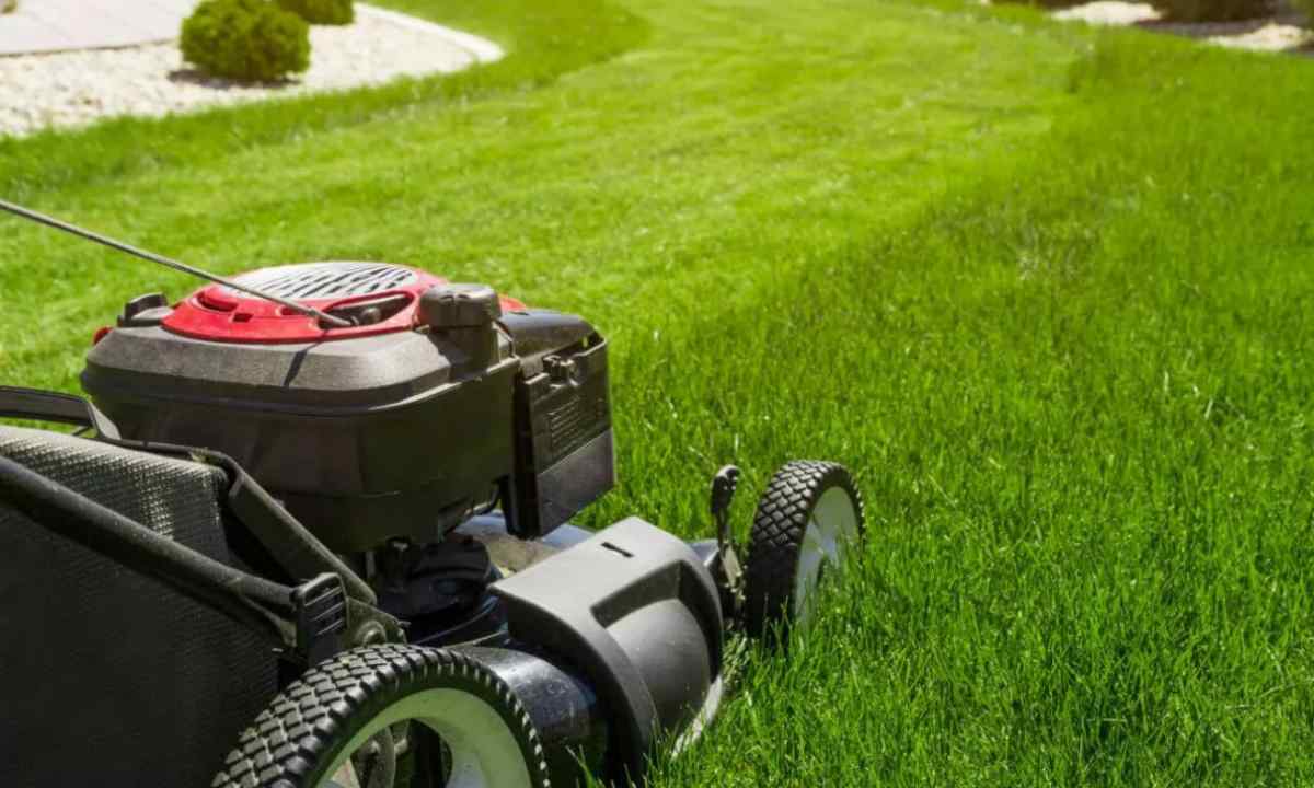 What lawn-mower it is better to buy to the dacha