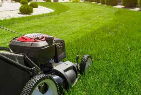 What lawn-mower it is better to buy to the dacha