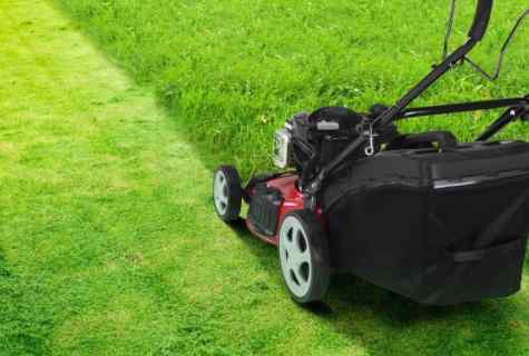 How to choose the petrol lawn-mower