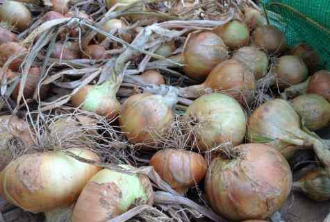 Ways of disposal of onions of wreckers