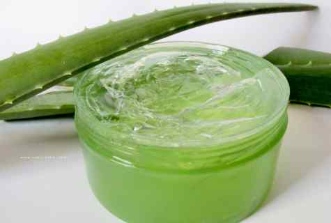 How to look after aloe