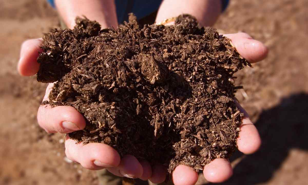 How to improve quality of the soil on the site