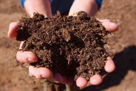 How to improve quality of the soil on the site