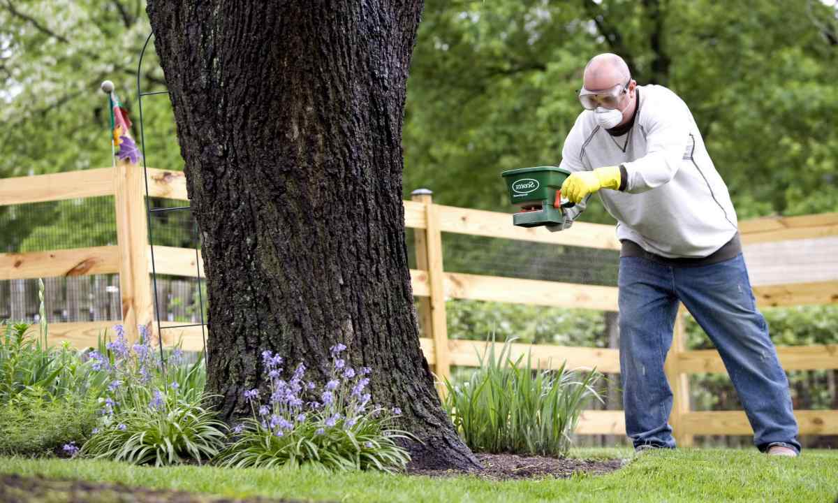 How to apply the Bordeaux liquid in gardening