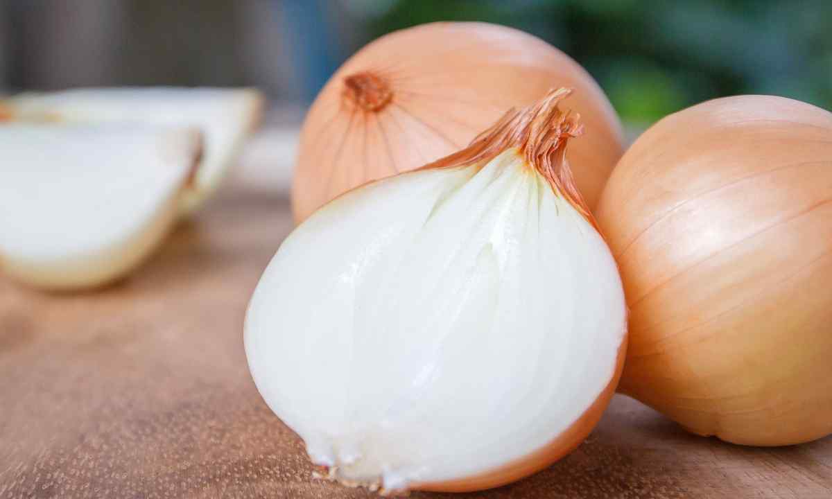 Onions fly: how to fight