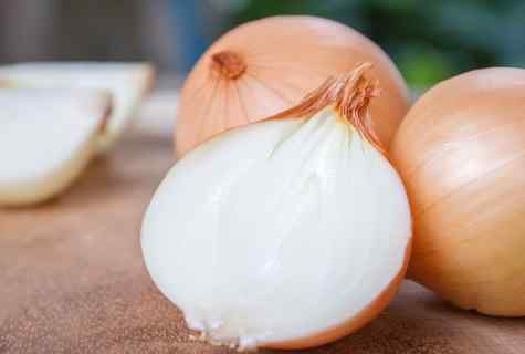 Onions fly: how to fight
