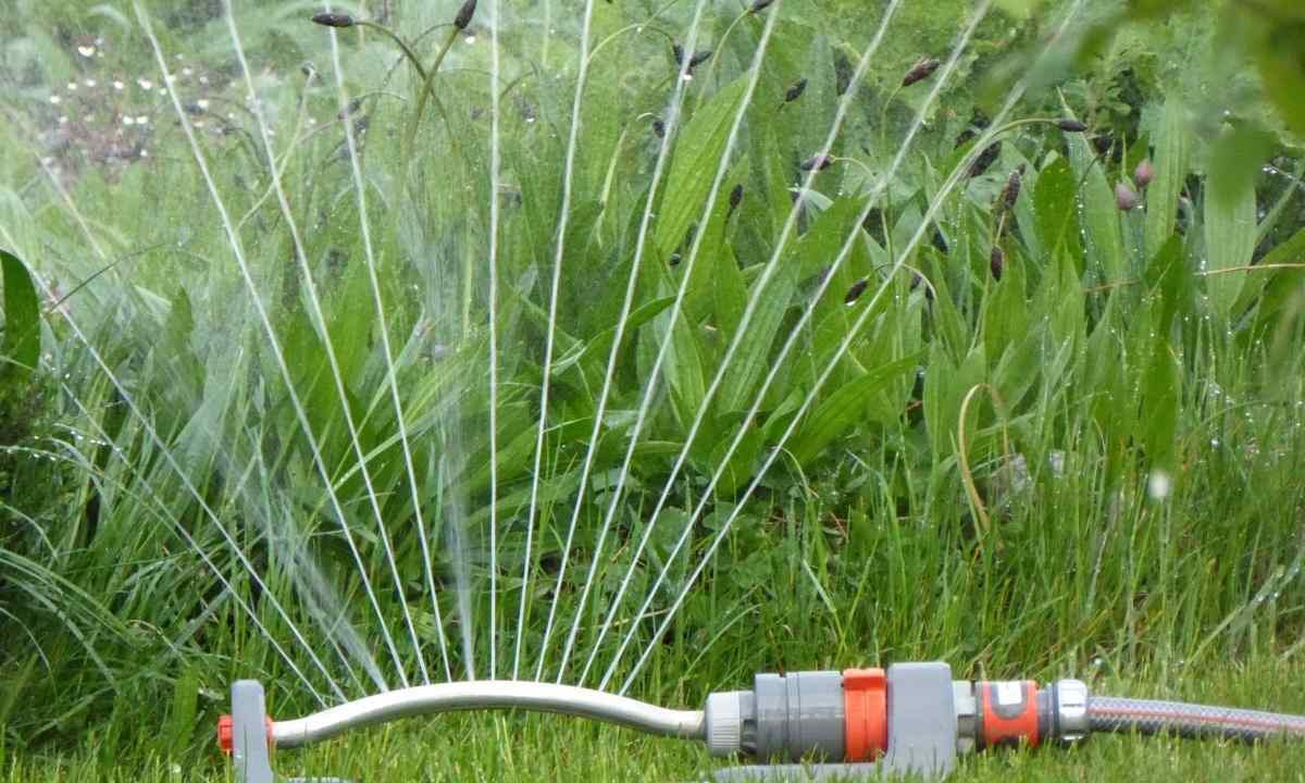 How to connect hose for watering