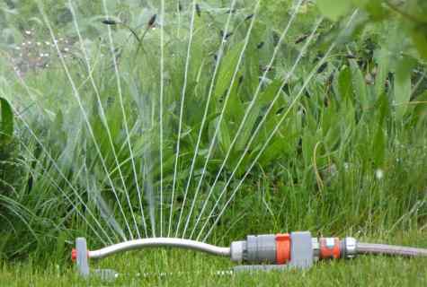 How to connect hose for watering