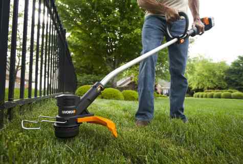 How to choose the trimmer for grass