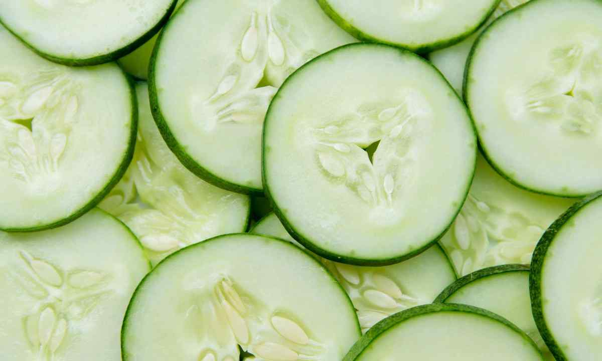 How to raise cucumbers